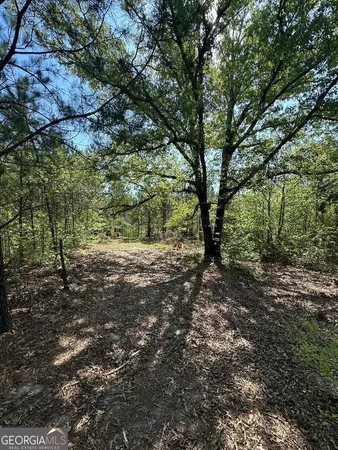 $494,900 | 0 Sardis Church Road, Kite, GA 31049