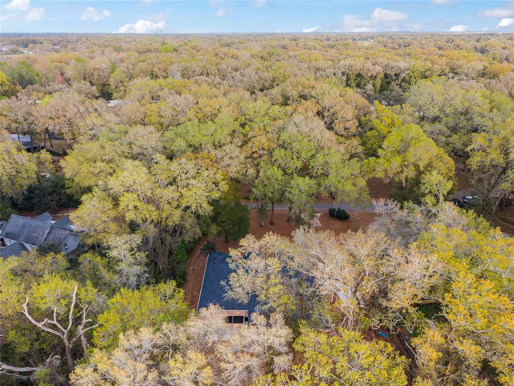 14650 Southeast 1st Av Road Summerfield, FL 34491 - Photo 90 of 95 Gallery Image 90