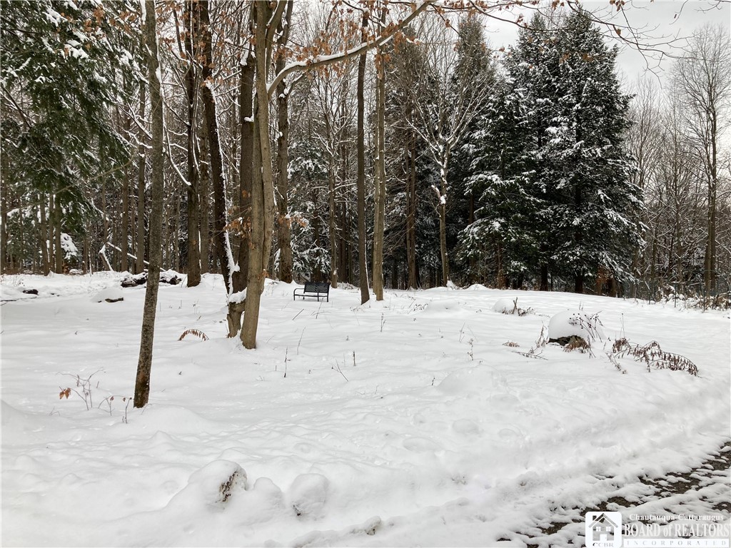 4801 Lewis Road Ellery, NY 14712 - Photo 1 of 1 4801Lewis Road Buildable Lot next to Snowmobile tr