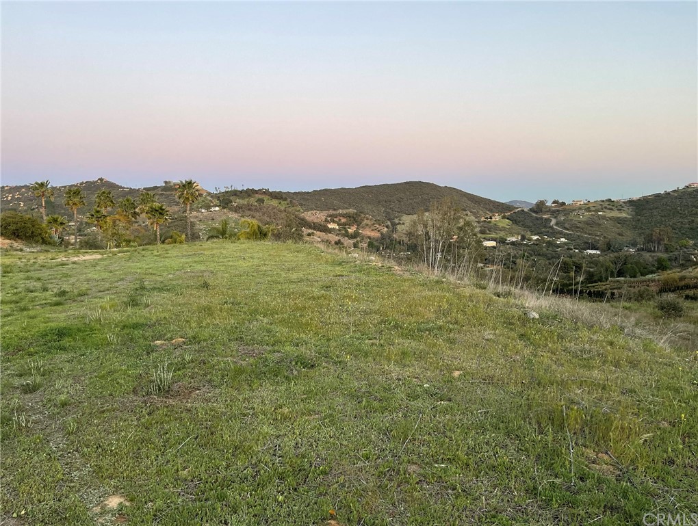 3911 Aspen Road Fallbrook, CA 92028 - Photo 1 of 1 an aerial view of residential houses with outdoor space and trees