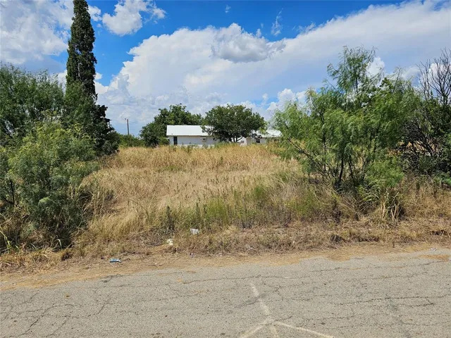 $20,000 | Tbd Brazos Street, Coleman, TX 76834