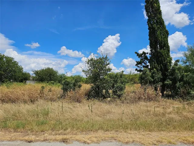 $20,000 | Tbd Brazos Street, Coleman, TX 76834