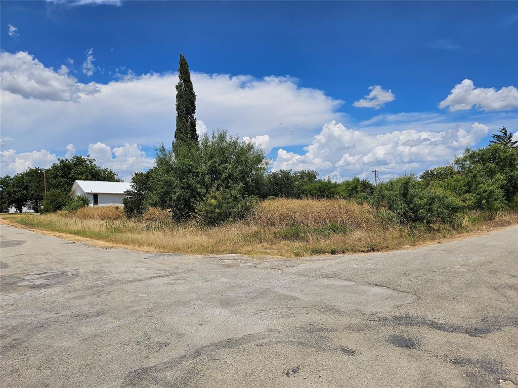 Tbd Brazos Street Coleman, TX 76834 - Photo 5 of 5 a view of a lake with a big yard