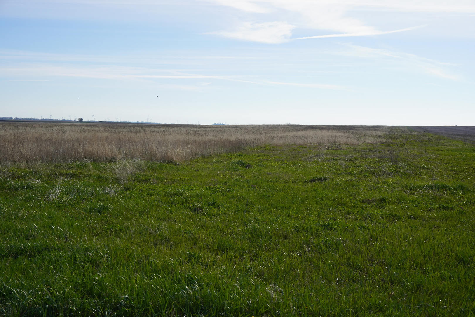 102 Acres /- East 1900 North Road Cullom, IL 60929 - Photo 4 of 16