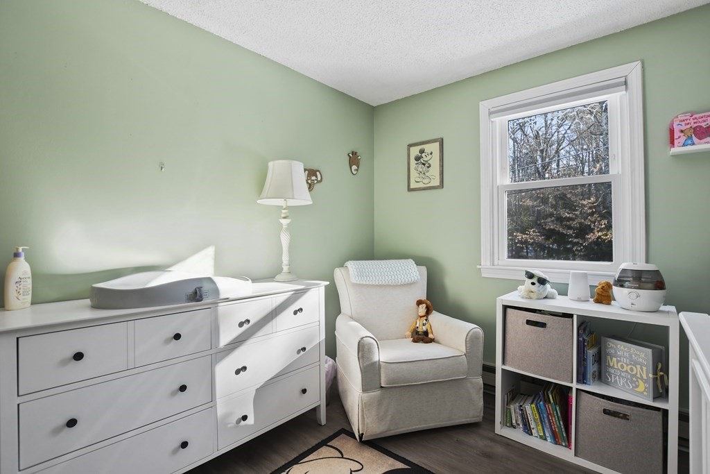 673 Fremont Road Chester, NH 03036 - Photo 18 of 30