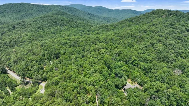 a view of a lush green forest with trees in the background