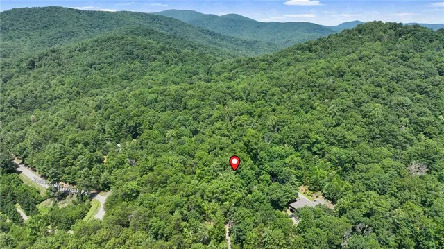a view of a lush green forest with trees in the background