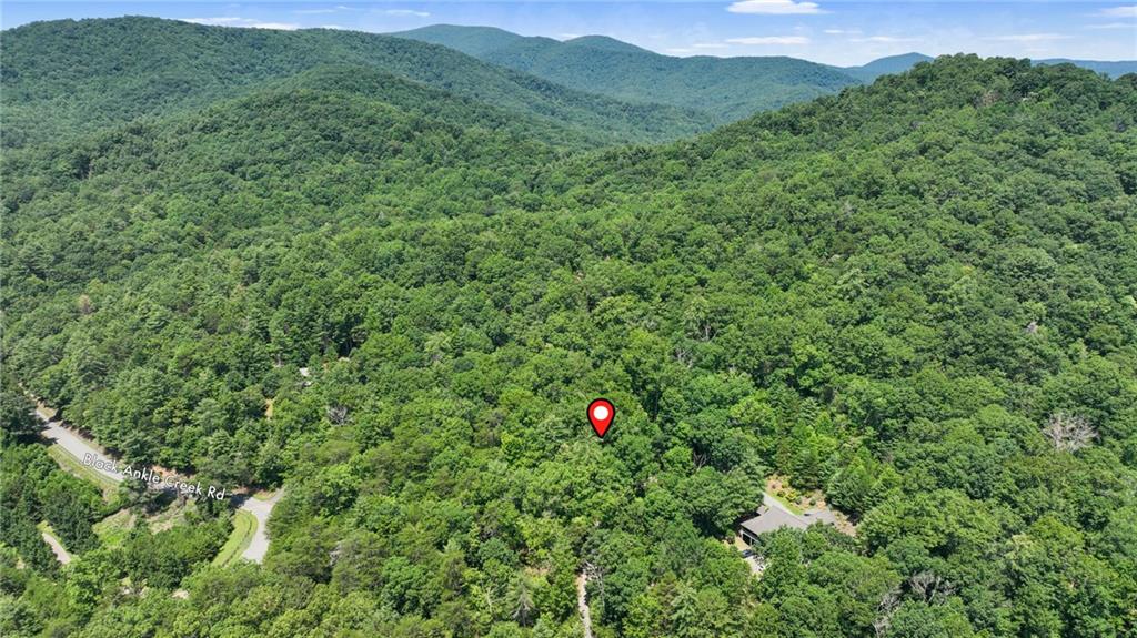 Lot 1 High Knee Road Cherry Log, GA 30522 - Photo 12 of 18 a view of a lush green forest with trees in the background