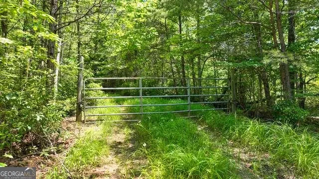 a view of a room with a small yard