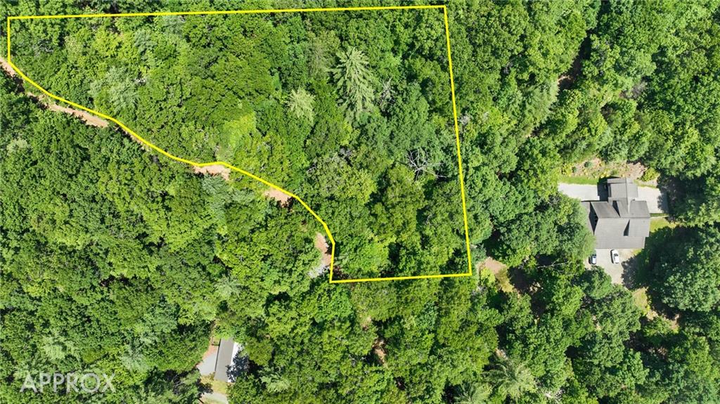 Lot 1 High Knee Road Cherry Log, GA 30522 - Photo 14 of 18