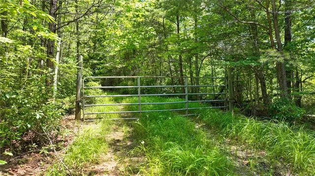 a view of a big yard with lots of green space