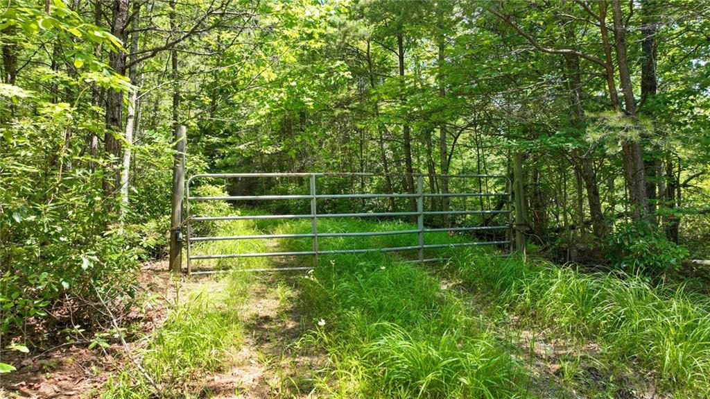 Lot 1 High Knee Road Cherry Log, GA 30522 - Photo 16 of 18 a view of a room with a small yard