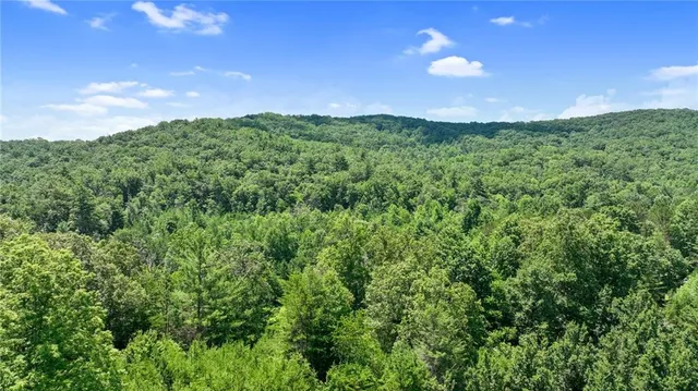 $100,000 | Lot 1 High Knee Road, Cherry Log, GA 30522