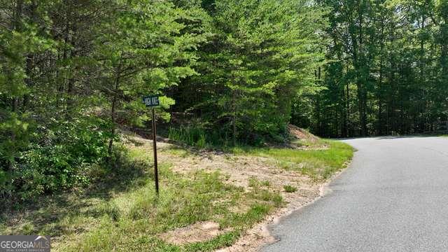 Lot 1 High Knee Road Cherry Log, GA 30522 - Photo 3 of 18 a view of a garden with plants