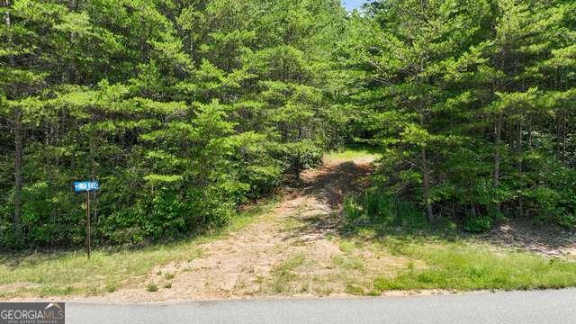 Lot 1 High Knee Road Cherry Log, GA 30522 - Photo 4 of 18 a view of a yard