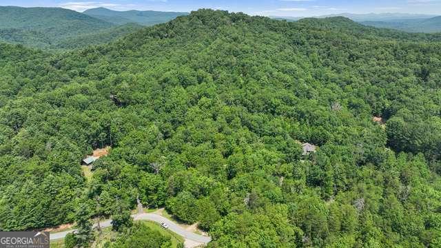 Lot 1 High Knee Road Cherry Log, GA 30522 - Photo 6 of 18 a view of a lush green forest with trees in the background