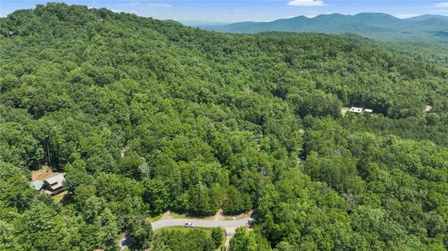 a view of a lush green forest with a house in the background