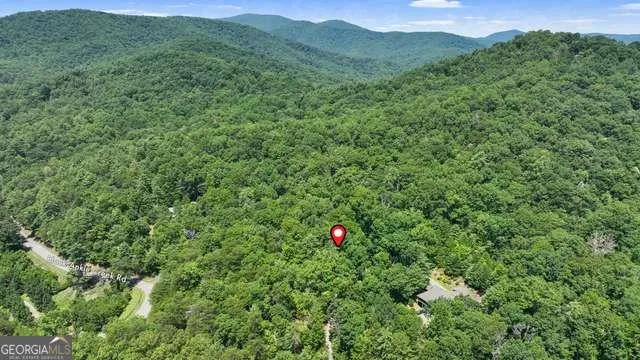 a view of a lush green forest with trees in the background