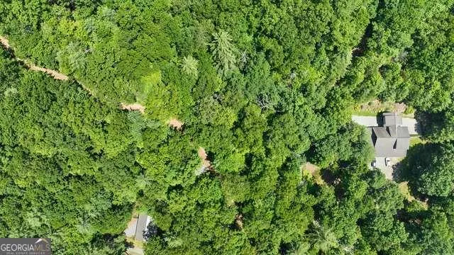a view of a lush green forest with lots of trees