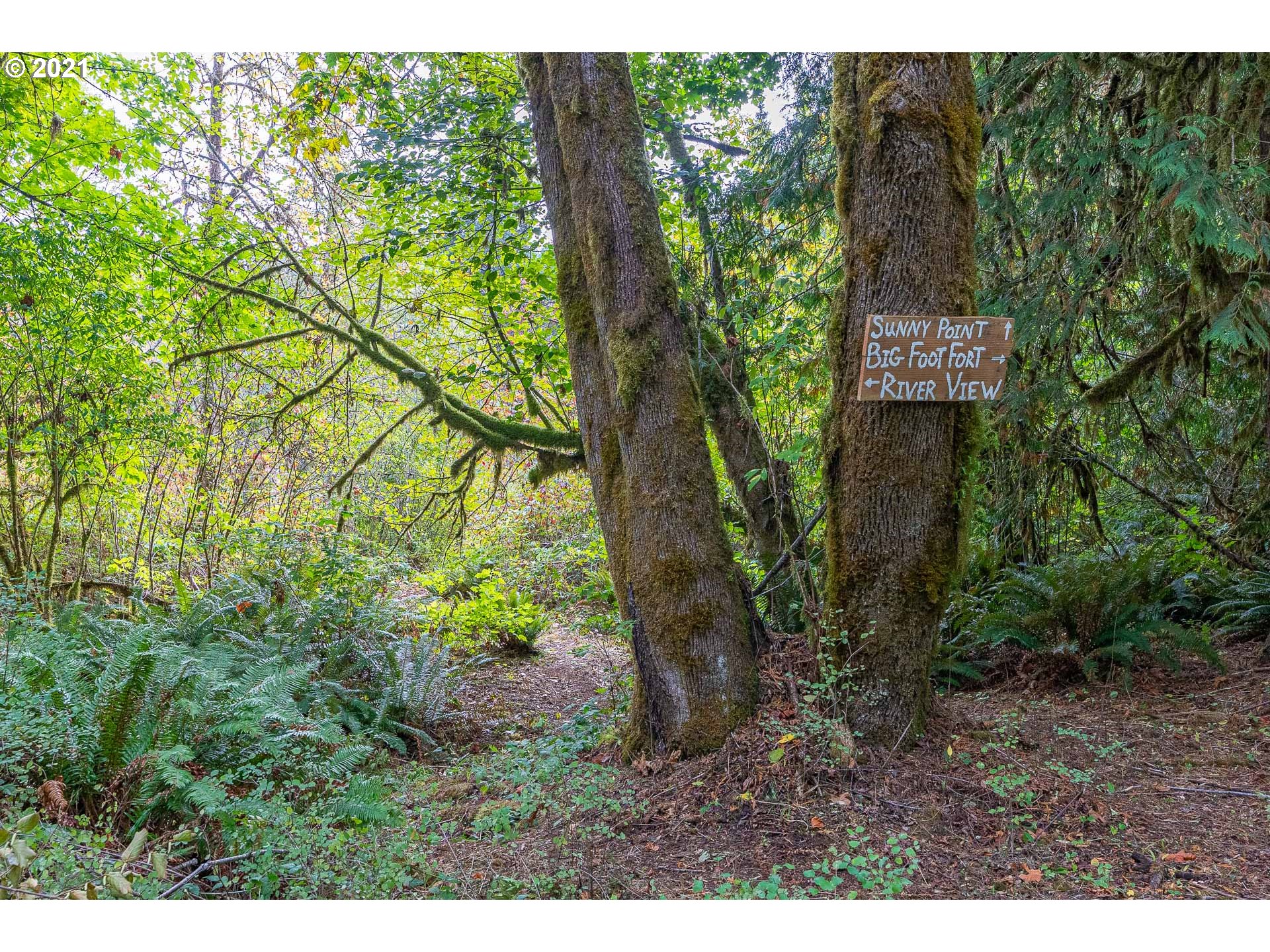 90491 Poodle Creek Road Noti, OR 97461 - Photo 23 of 32 Gallery Image 23
