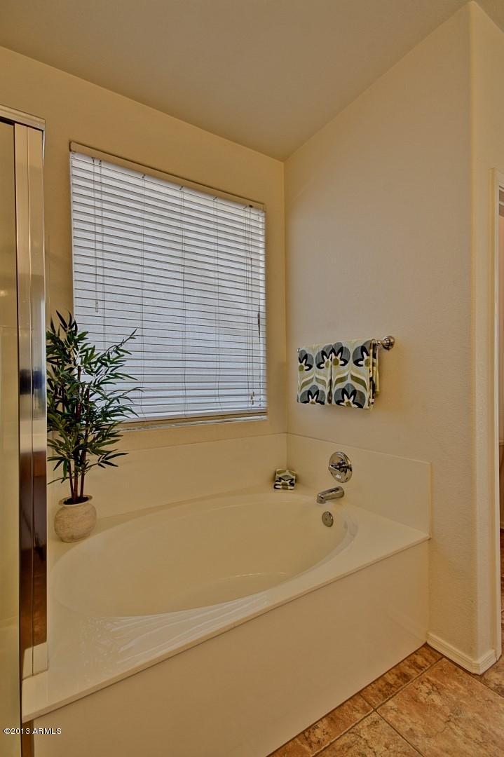 14437 West Boca Raton Road Surprise, AZ 85379 - Photo 20 of 30 Boca Raton Master Bath