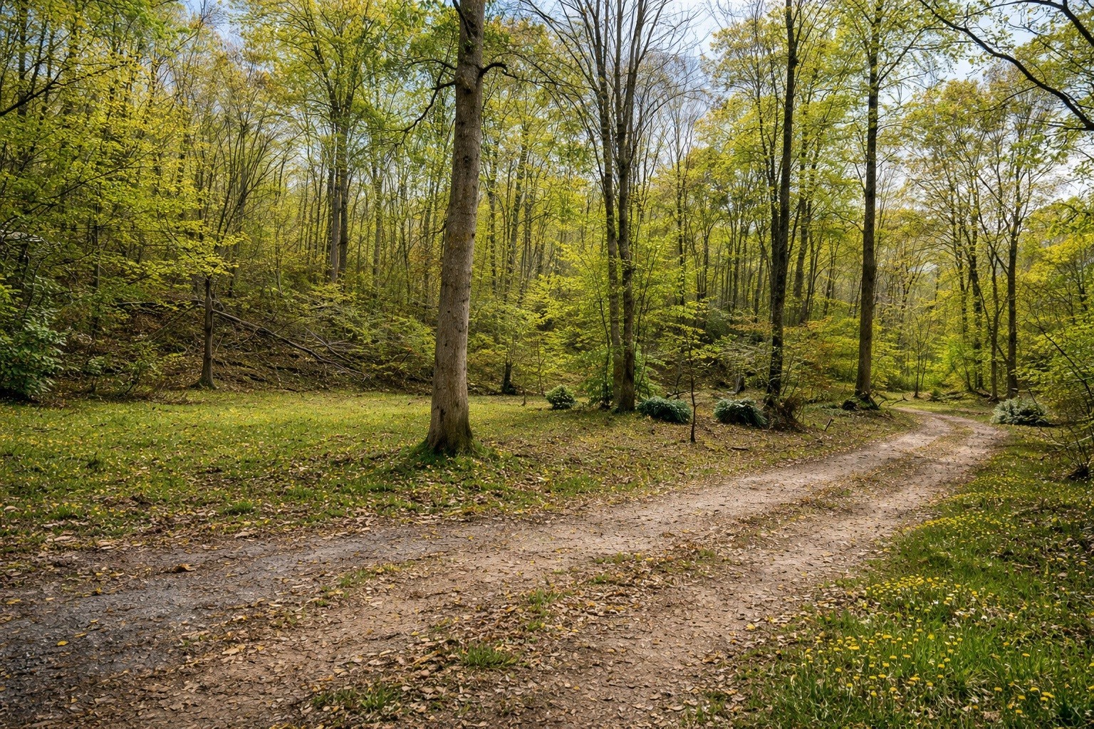 1135 West Mink Branch Road Waynesboro, TN 38485 - Photo 66 of 83
