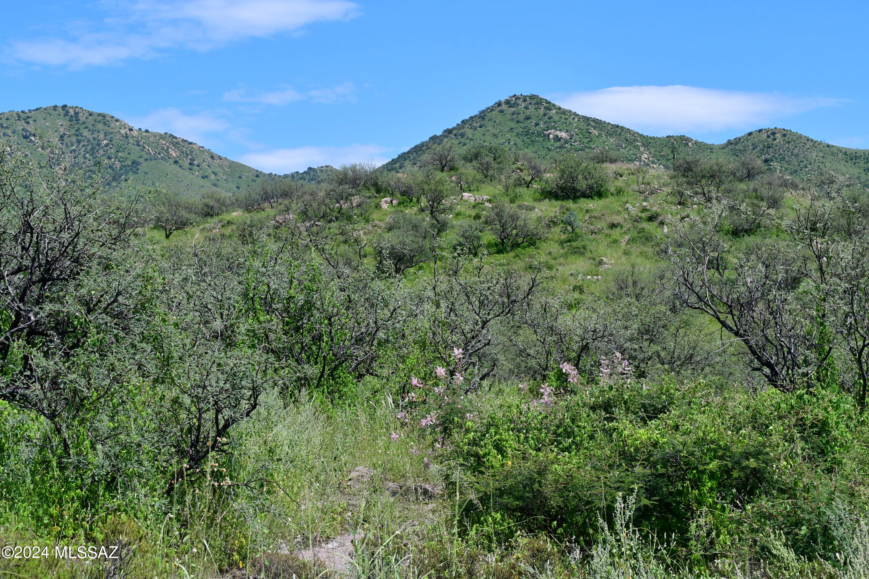 Tbd Tbd Mesquite Trail, Unit 132 Rio Rico, AZ 85648 - Photo 8 of 23