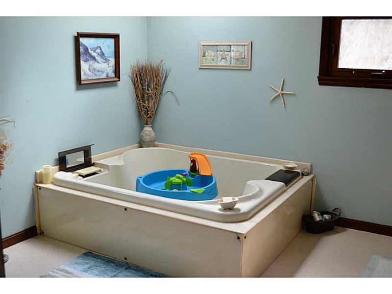 9745 Grosick Road Pittsburgh, PA 15237 - Photo 16 of 25 Master Bath/Spa.