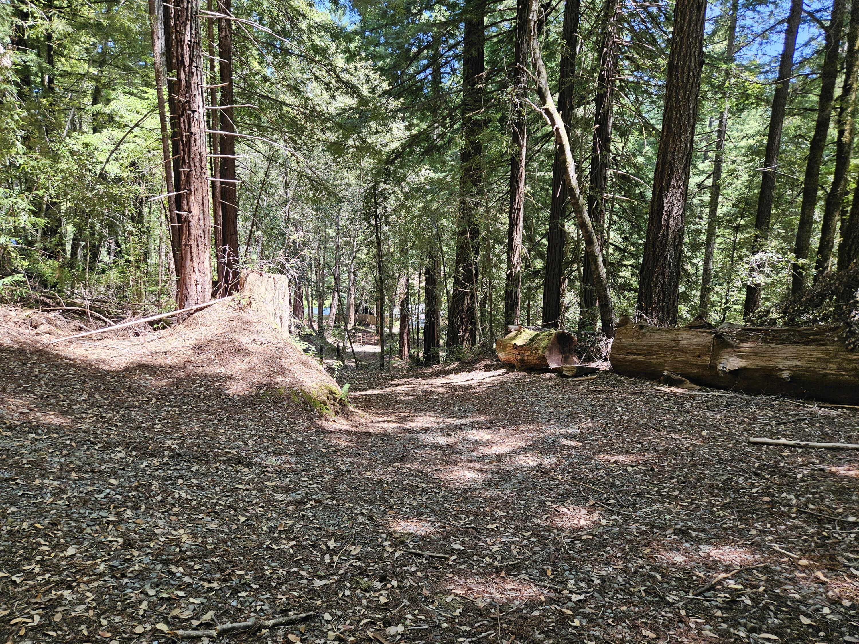 247 Twin Trees Road Garberville, CA 95542 - Photo 5 of 32