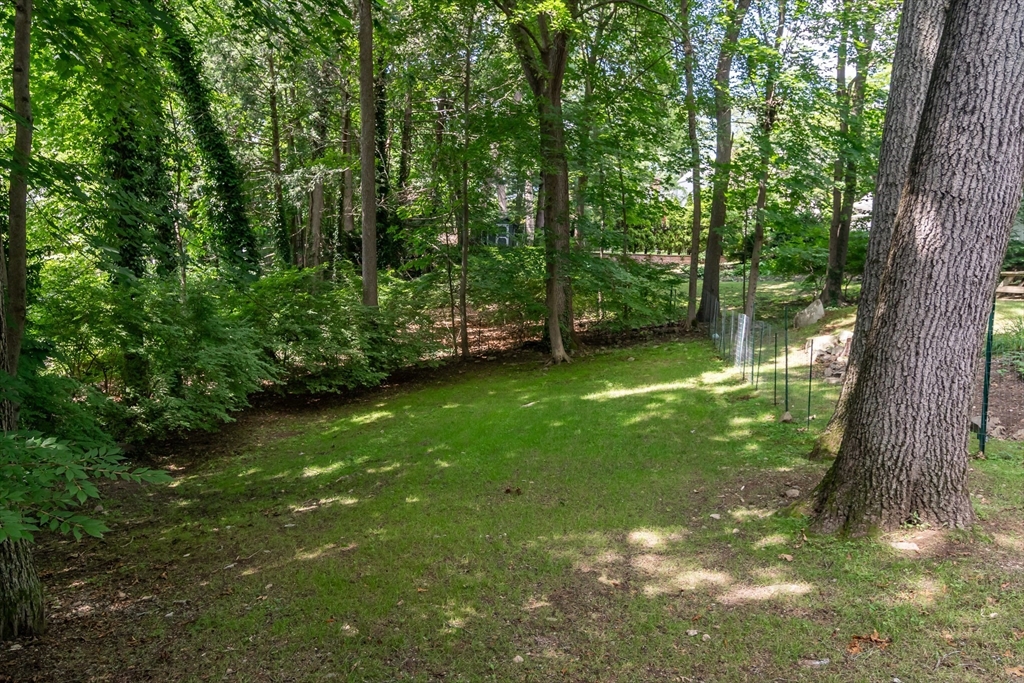 71 Curve Street, Unit 71 Wellesley, MA 02482 - Photo 8 of 31