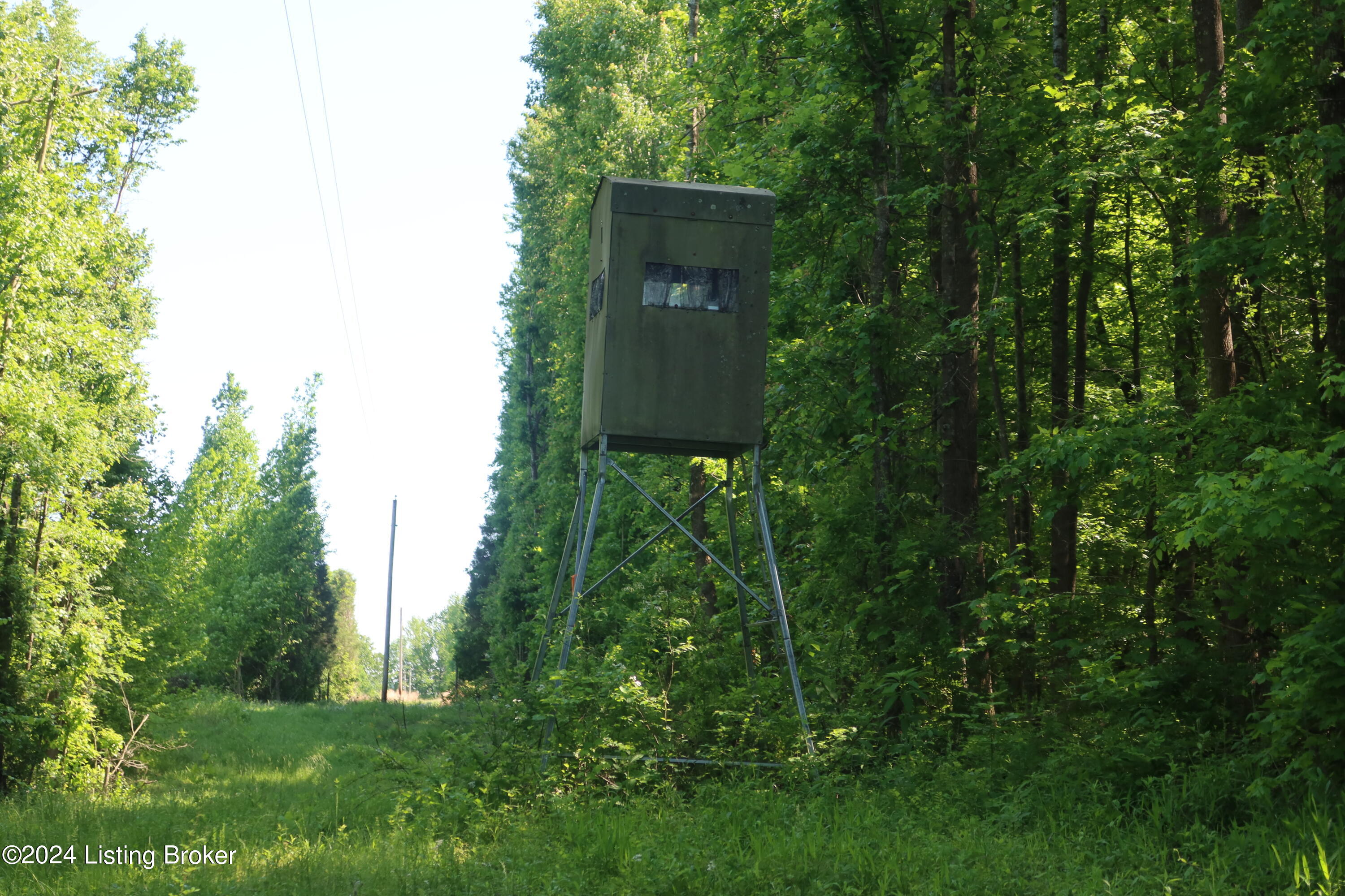 0 Schneider Road Falls Of Rough, KY 40119 - Photo 16 of 16 2024-05-11 04.46.05