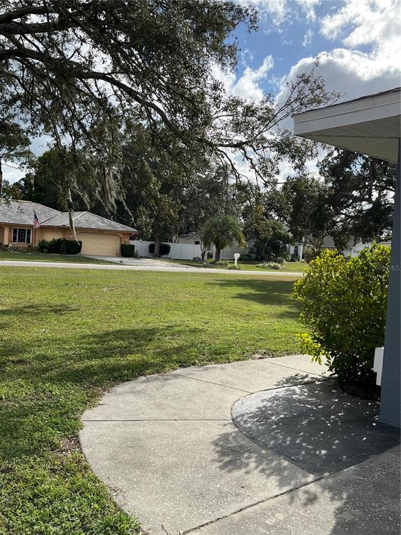 2463 Stephanie Drive Spring Hill, FL 34608 - Photo 21 of 21