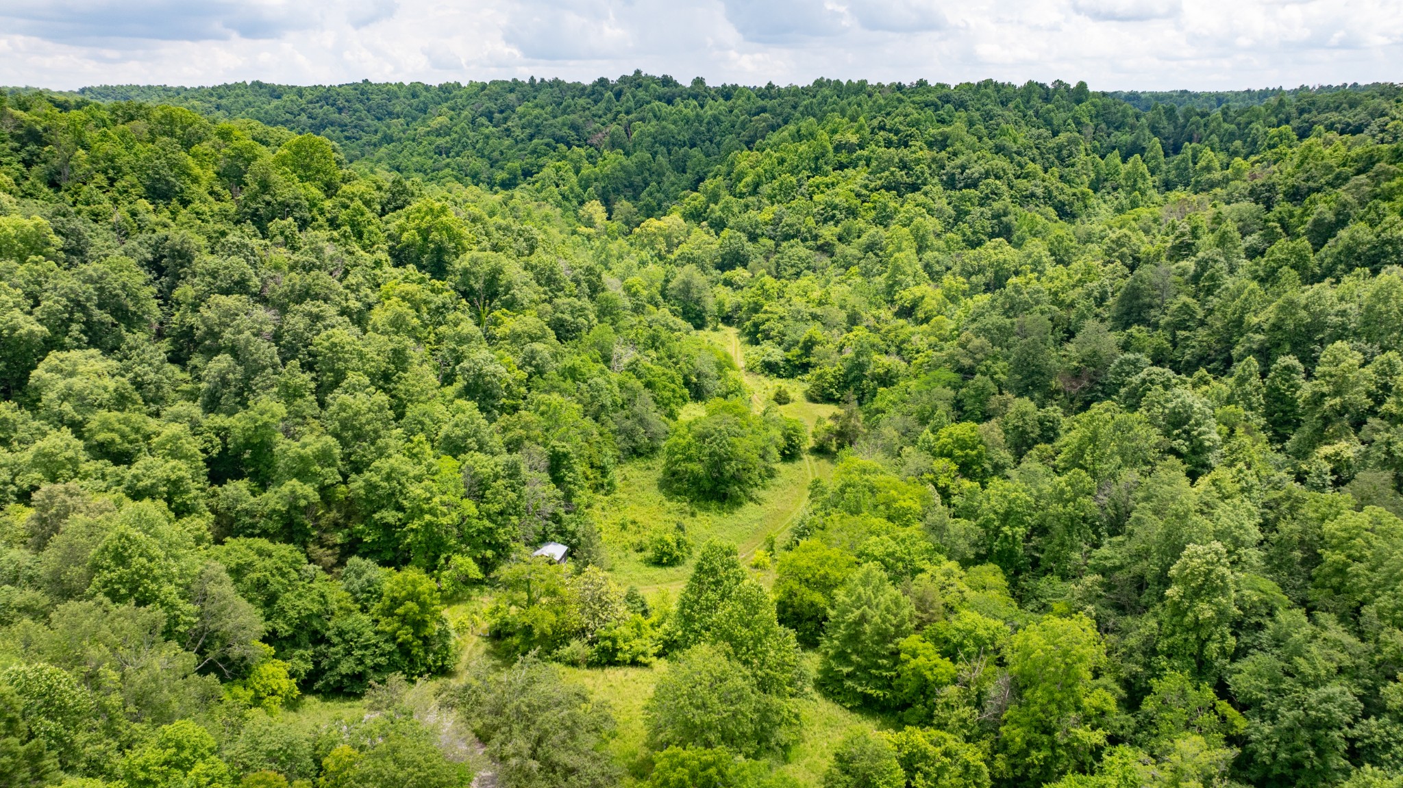 582 Cedar Bend Road Beechgrove, TN 37018 - Photo 22 of 32