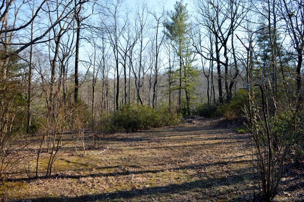 175 Glengarnock Road, Unit 5 6 7 10 Tryon, NC 28782 - Photo 12 of 13 Gallery Image 12