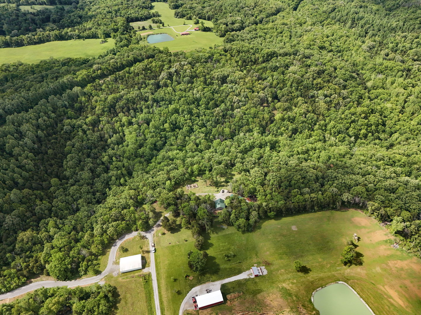 588 Toler Lane Goreville, IL 62939 - Photo 31 of 54