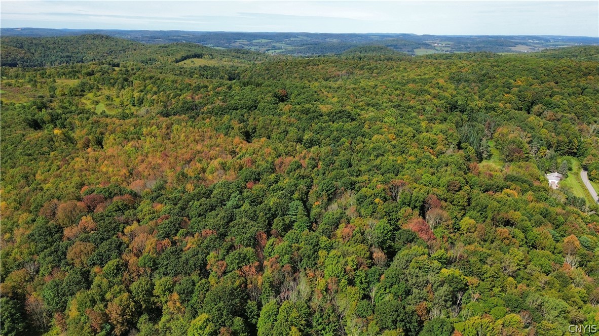 Lot 21 Buddle Road Richfield Springs, NY 13439 - Photo 17 of 21 Gallery Image 17