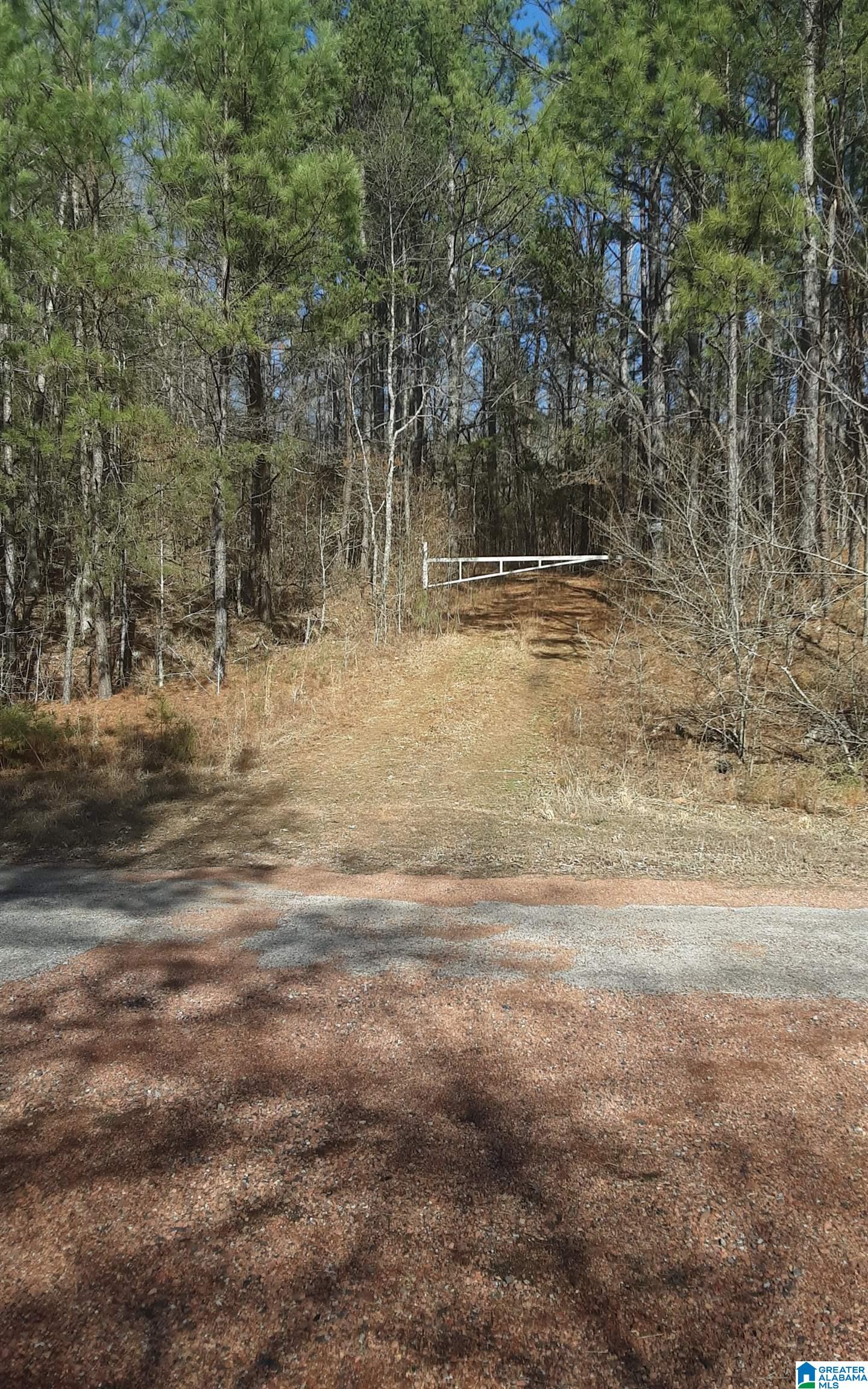 5385 Littleton Kilgore Road Dora, AL 35062 - Photo 2 of 27