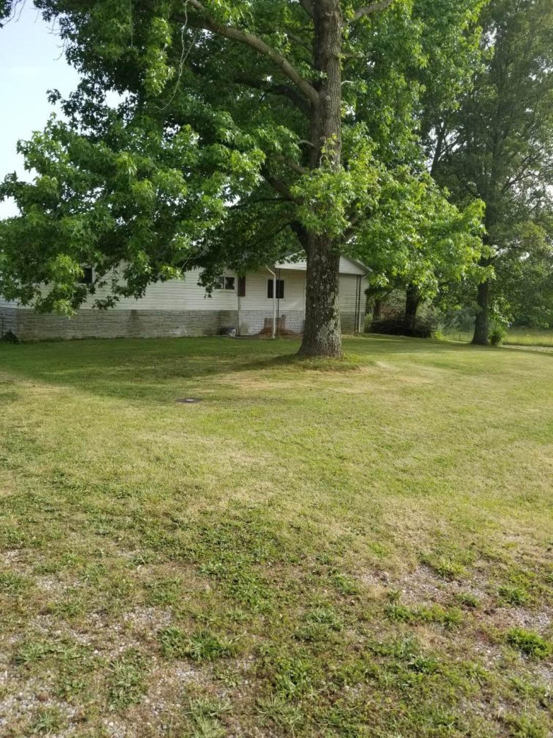 17235 East Knox Road Mount Vernon, IL 62864 - Photo 1 of 13 Gallery Image 1