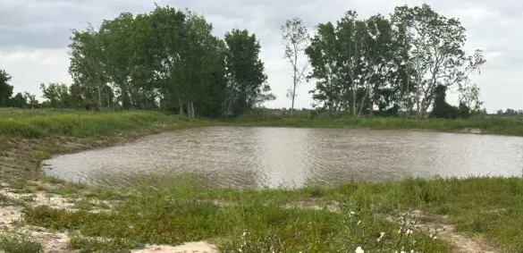 $345,000 | 1410 Connor Avenue, Eagle Lake, TX 77434