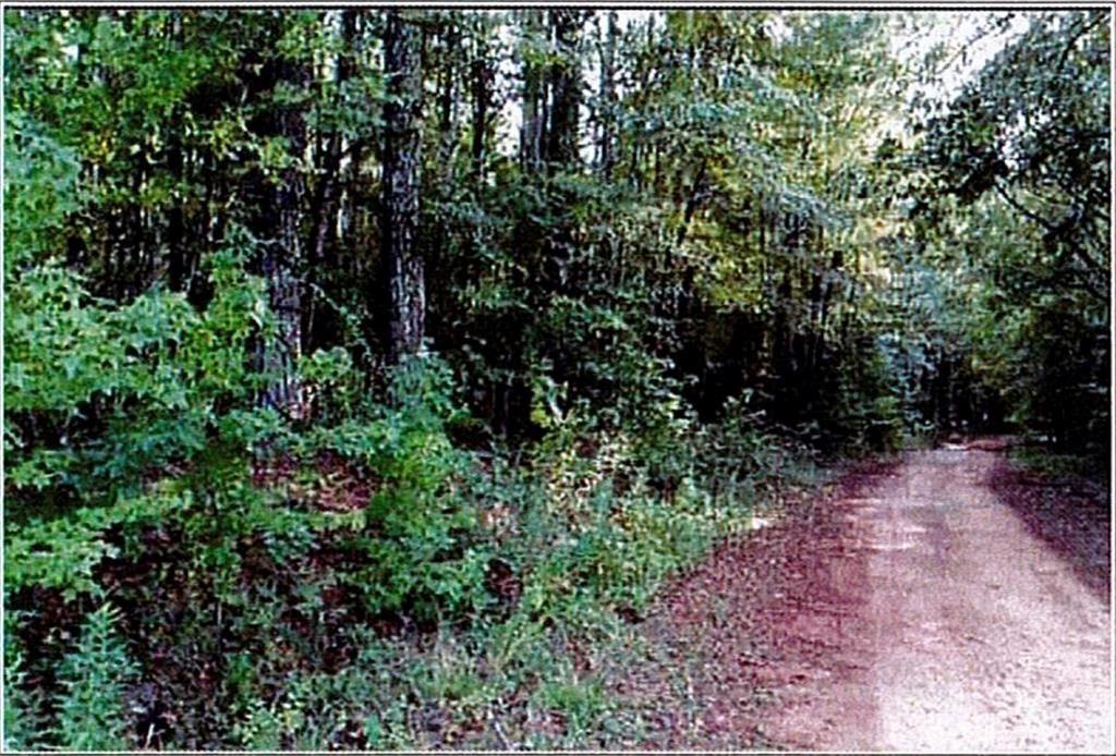 0 Felton Mcmichael Road Monticello, GA 31064 - Photo 4 of 9