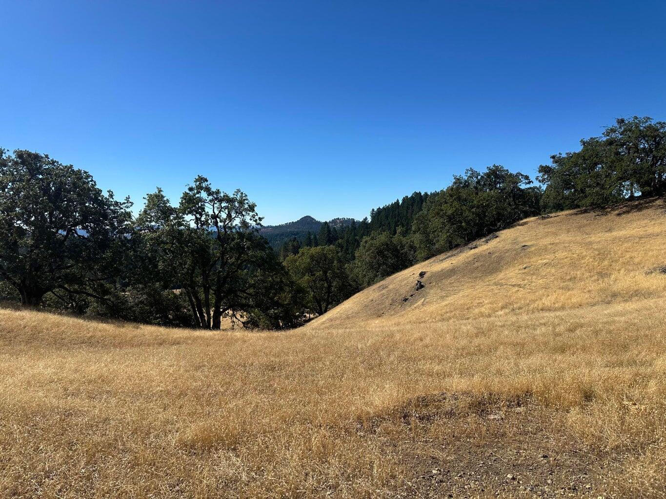 751 Lassic's Lookout Road Zenia, CA 95595 - Photo 4 of 29