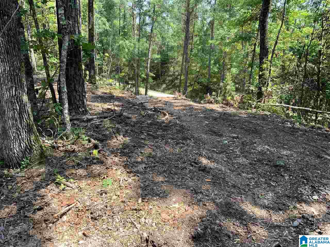 0 County Road 199, Unit 19 / ACRES Clanton, AL 35046 - Photo 2 of 17