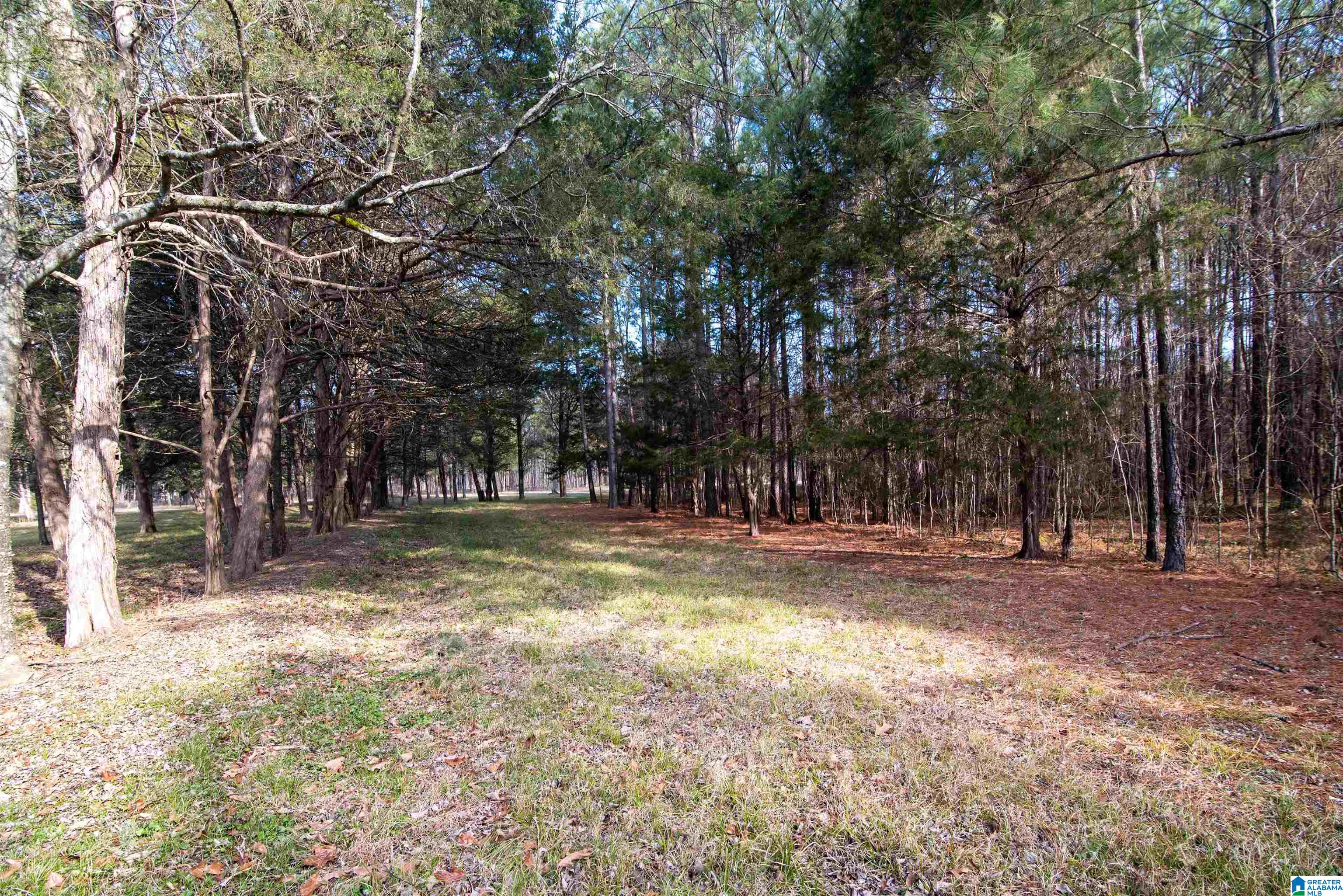 0 Day Drive, Unit 10 Somerville, AL 35670 - Photo 12 of 16