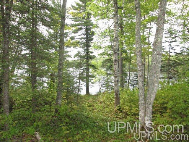 Tbd Washington Mine Road, Unit LOT 11 Mohawk, MI 49950 - Photo 15 of 18 Gallery Image 15
