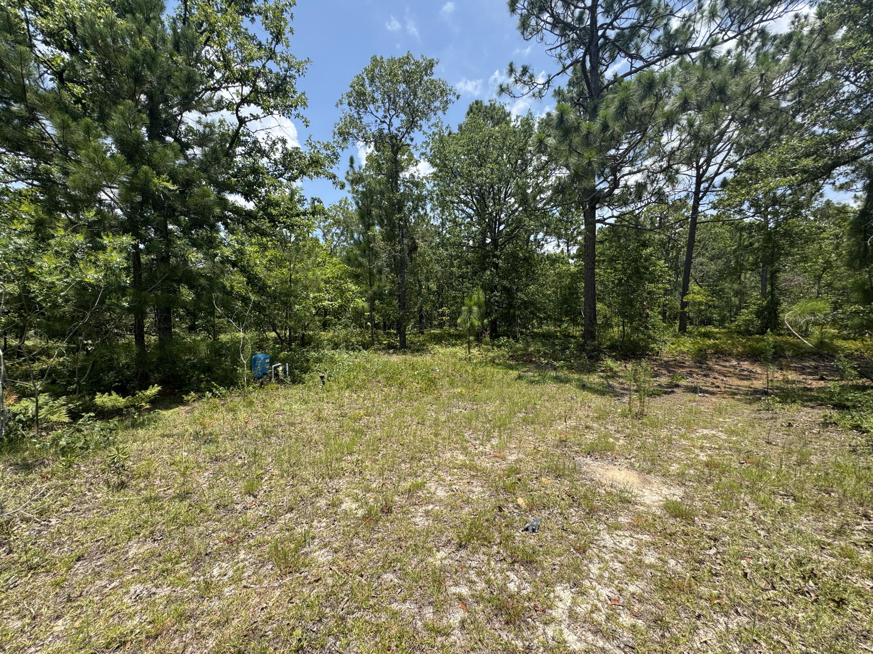 174 Hard Luck Lane Windsor, SC 29856 - Photo 26 of 27