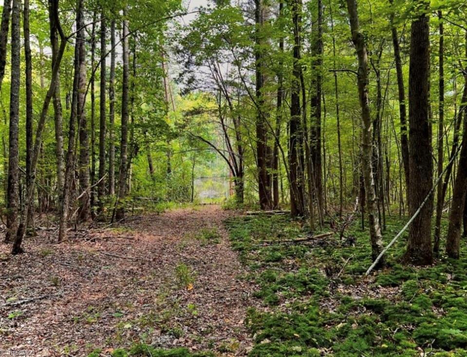 6638 Holts Store Road Julian, NC 27283 - Photo 11 of 12 Gallery Image 11