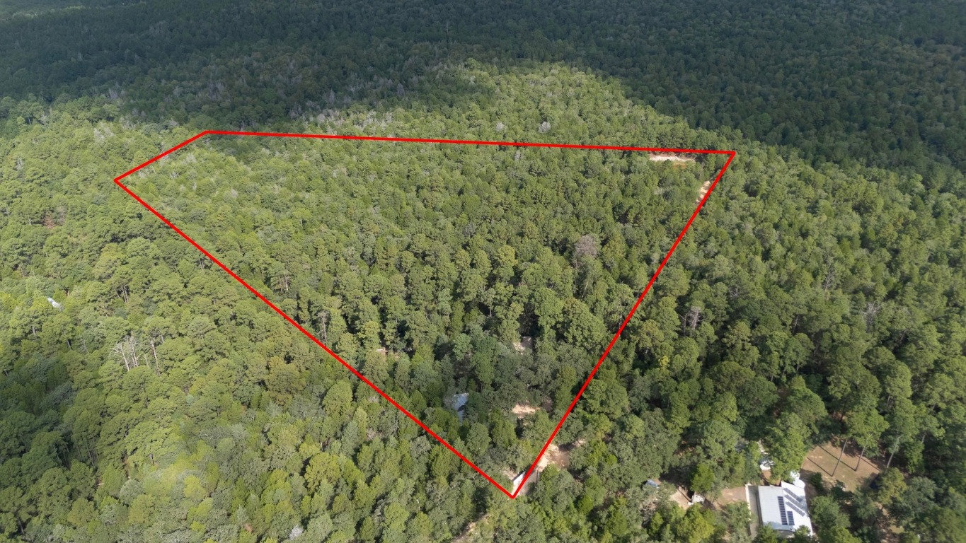 128 Barras Road Paige, TX 78659 - Photo 12 of 12