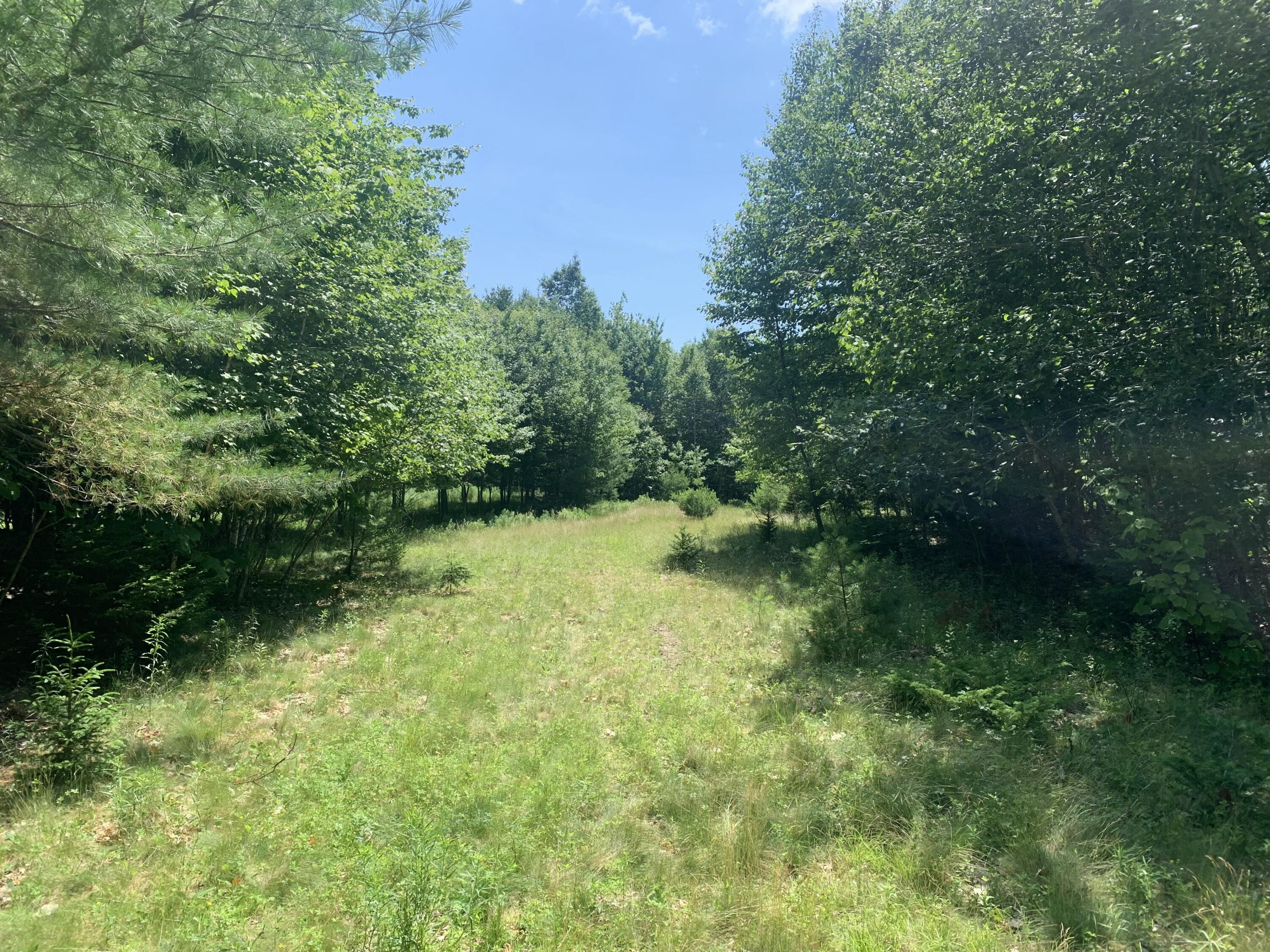 Lot 1-2 Richardson Road Orrington, ME 04474 - Photo 2 of 4 IMG_20250701_215218