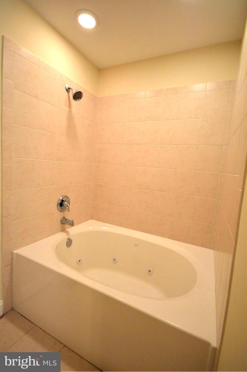433 Berrys Ferry Road White Post, VA 22663 - Photo 17 of 30 Bath