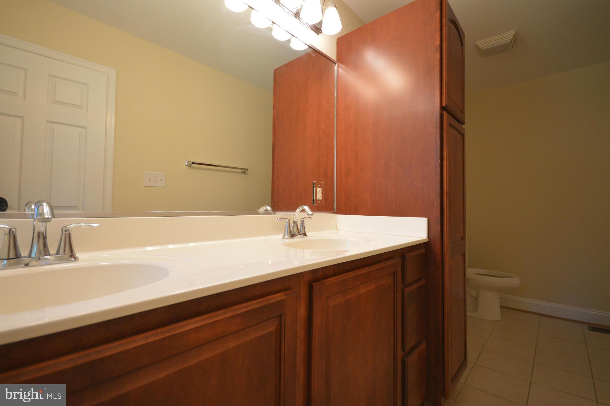 433 Berrys Ferry Road White Post, VA 22663 - Photo 18 of 30 Bath (Master)